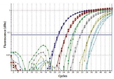 Total RNA was diluted through a serial 10-fold dilution series and a one-step RT-qPCR performed to detect GAPDH. Each reaction was performed in triplicate. Total RNA was diluted through a serial 10-fold dilution series and a one-step RT-qPCR performed to detect GAPDH. Each reaction was performed in triplicate.