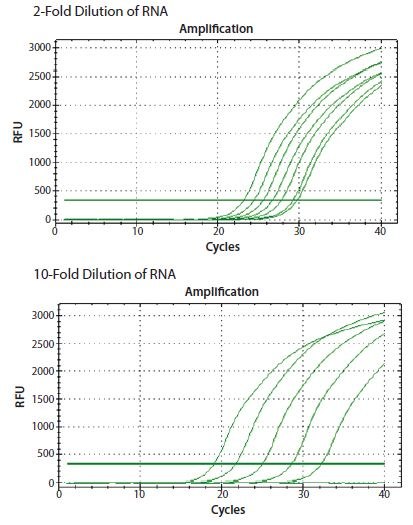 ReadyScript® RT reagent was used to reverse transcribe total RNA from a 2-fold and a 10-fold serial dilution. ReadyScript® RT reagent was used to reverse transcribe total RNA from a 2-fold and a 10-fold serial dilution.