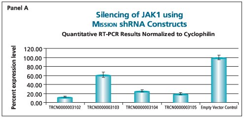 Quantitative RT-PCR Results Normalized to Cyclophilin Quantitative RT-PCR Results Normalized to Cyclophilin