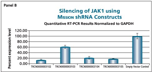 Quantitative RT-PCR Results Normalized to GAPDH Quantitative RT-PCR Results Normalized to GAPDH