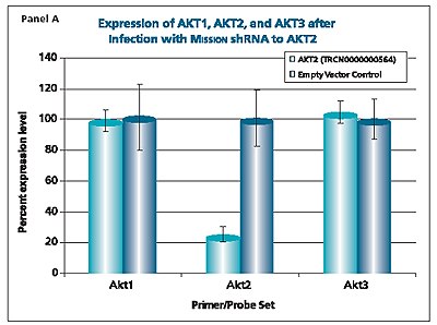 Mission shRNA to AKT2 Mission shRNA to AKT2
