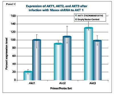 Mission® shRNA to AKT1 MISSION® shRNA to AKT1