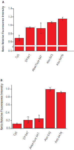 Influence of atmospheric ozone on fluorescence intensity. Influence of atmospheric ozone on fluorescence intensity.
