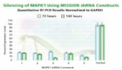 MAPK 1 gene silencing. MAPK 1 gene silencing.