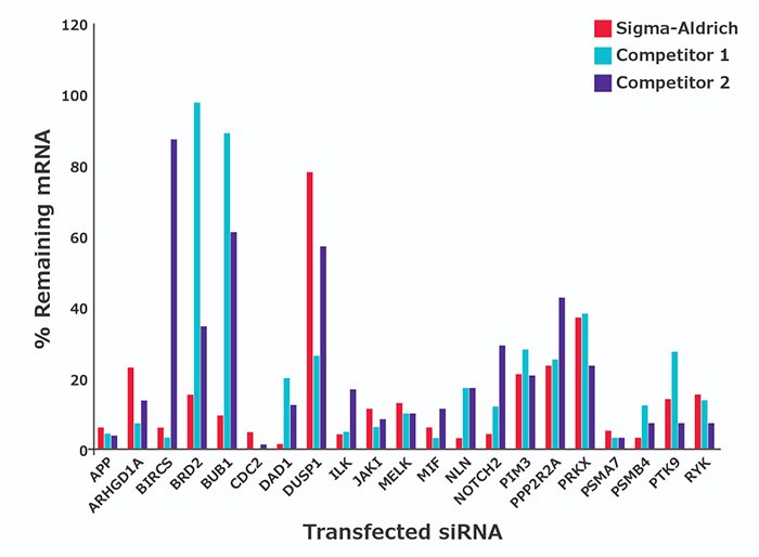 HeLa cells transfected with predesigned siRNA at a concentration of 30 nM. HeLa cells transfected with predesigned siRNA at a concentration of 30 nM.