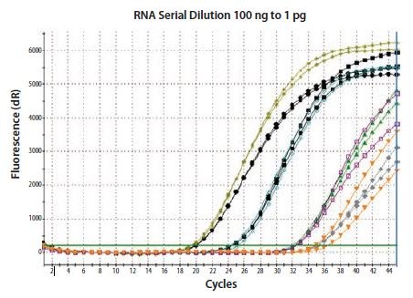 Total RNA was diluted through 100-fold and reverse transcribed using two-step random priming; two independent RT reactions were performed. β-actin was detected in duplicate qPCRs for each RT reaction. Total RNA was diluted through 100-fold and reverse transcribed using two-step random priming; two independent RT reactions were performed. β-actin was detected in duplicate qPCRs for each RT reaction.