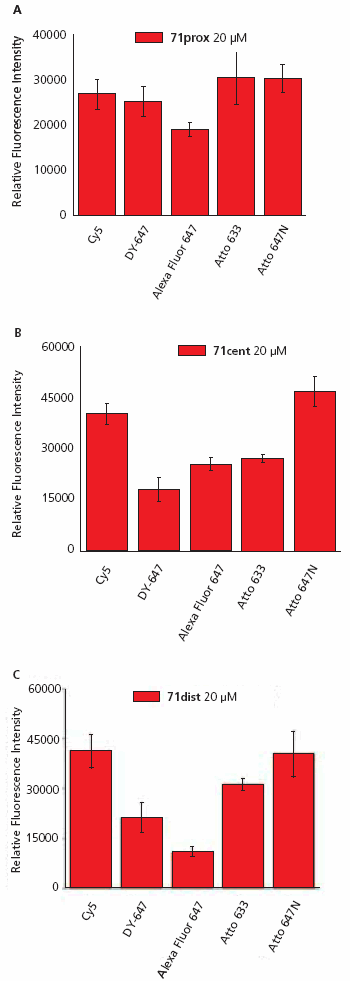 Fluorescence intensities of oligonucleotide-dye conjugates Fluorescence intensities of oligonucleotide-dye conjugates