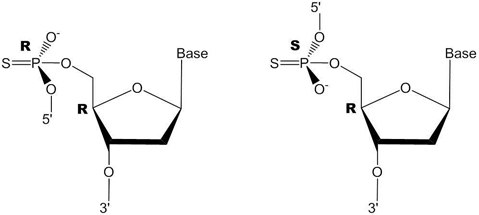 Figure 2. Stereogenic α-phosphorus at one internucleotide linkage. The random R and S configuration results in diastereomers. Figure 2. Stereogenic α-phosphorus at one internucleotide linkage. The random R and S configuration results in diastereomers.