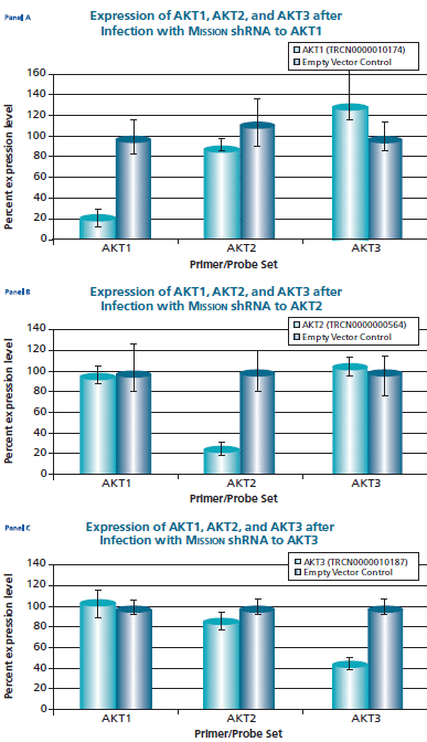 The Human v-akt murine thymoma viral oncogene homologs 1,2, and 3 The Human v-akt murine thymoma viral oncogene homologs 1,2, and 3