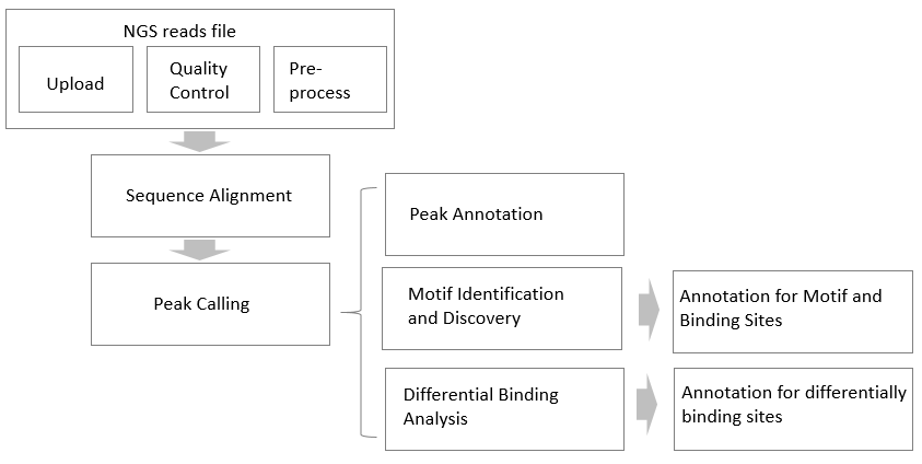 Data analysis workflow