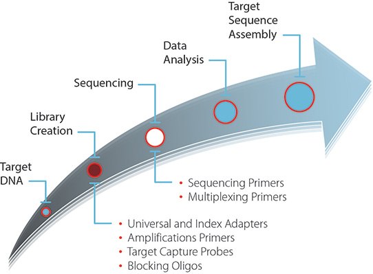 generic-next-gen-sequencing-workflow Generic next-generation sequencing workflow