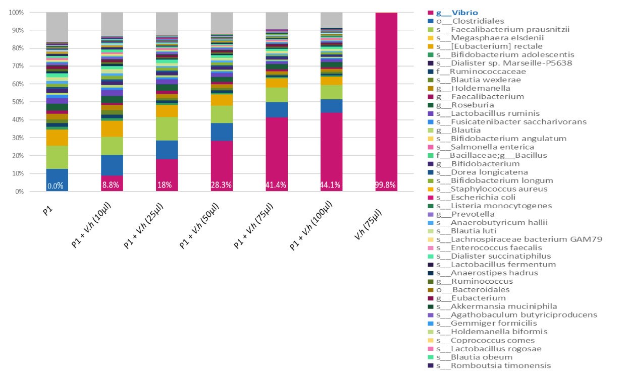 16S NGS data show that inactivated V. harveyi spiked into fecal samples can serve as control in human microbiome genomics.  16S NGS data show that inactivated V. harveyi spiked into fecal samples can serve as control in human microbiome genomics.