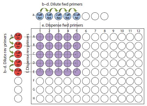 b–d-dilute-fwd-primers.jpg Primer optimization example