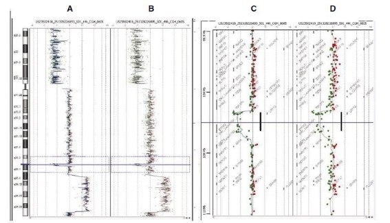 CGH Analytics ideograms illustrating data from Agilent Human Genome CGH 44B microarrays CGH Analytics ideograms illustrating data from Agilent Human Genome CGH 44B microarrays