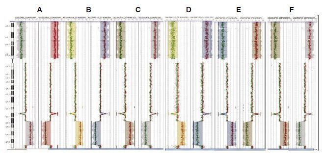 CGH Analytics ideograms CGH Analytics ideograms