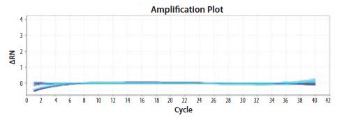 Primers to EIFB1 were tested at concentrations between 200 nM and 900 nM Primers to EIFB1 were tested at concentrations between 200 nM and 900 nM