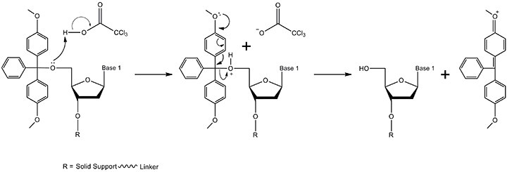 The detritylation mechanism The detritylation mechanism