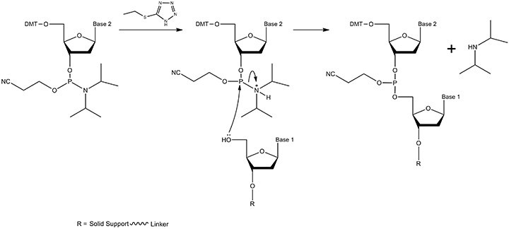 The coupling mechanism The coupling mechanism