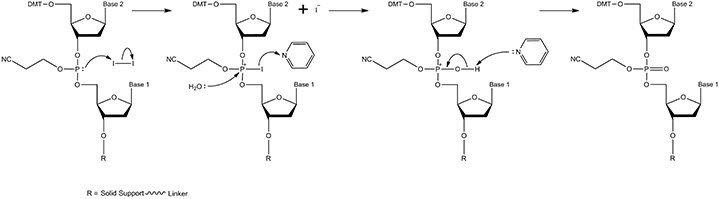 The oxidation mechanism The oxidation mechanism
