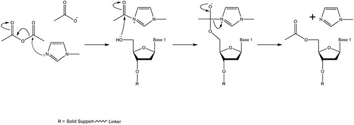 The capping mechanism The capping mechanism
