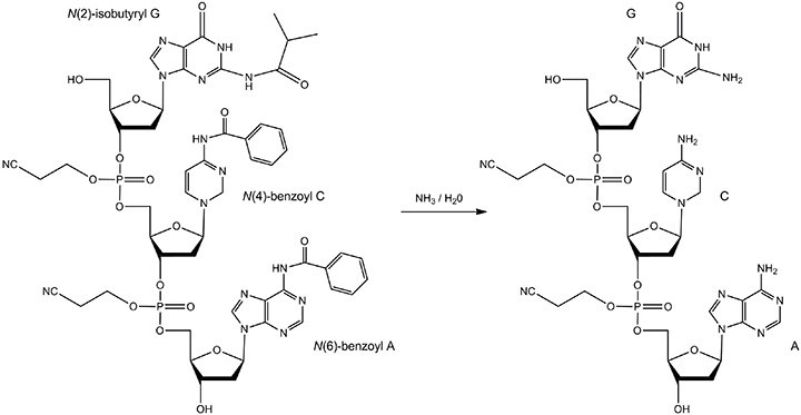 The reactant and product of base deprotection The reactant and product of base deprotection