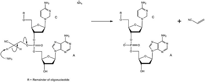 The mechanism of phosphodiester formation via deprotection The mechanism of phosphodiester formation via deprotection