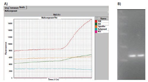 The raw data plots of a duplex assay containing a FAM and a HEXlabeled probe The raw data plots of a duplex assay containing a FAM and a HEXlabeled probe