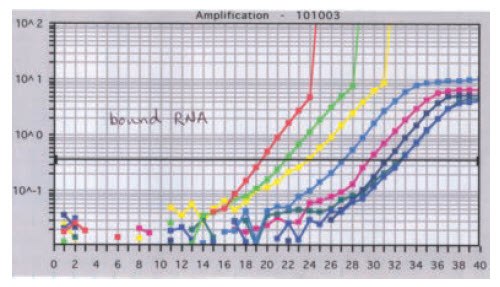 During a standard qPCR the data suddenly spike upward with a non-typical profile During a standard qPCR the data suddenly spike upward with a non-typical profile