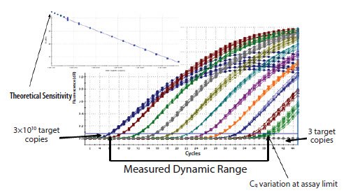 example-of-high-reproducibility An example of high reproducibility and wide range of detection using a serial dilution of linearized plasmid
