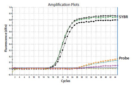 Identical reactions were run containing either a qPCR probe or SYBR Green I dye (as indicated) Identical reactions were run containing either a qPCR probe or SYBR Green I dye (as indicated)
