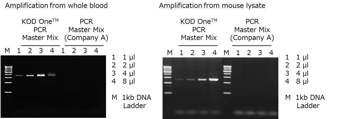 KOD One™ PCR Master Mix is effective for direct PCR amplification of crude samples such as biological samples, food samples, soil extract, etc. KOD One™ PCR Master Mix is effective for direct PCR amplification of crude samples such as biological samples, food samples, soil extract, etc.