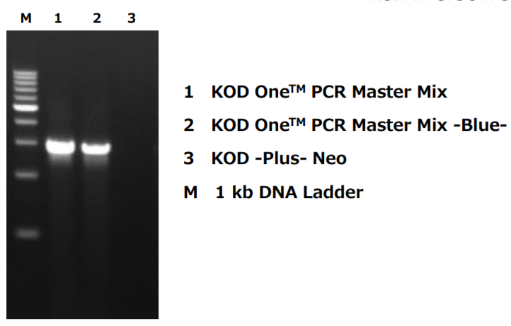<b>Primer sequences</b> <br>Fwd: ATGGTICARATHCCICARAAY <br> Rev: RTGIGCYTGRTCCCARTTYTC  Primers with dI and dU