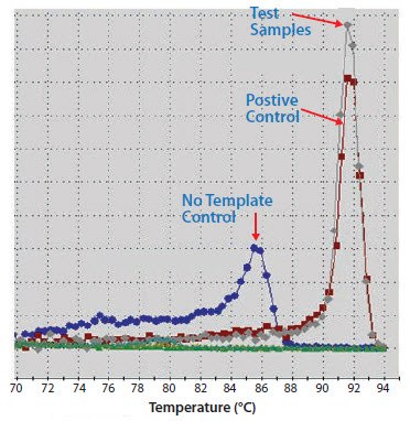 A positive control, test reaction and NTC were amplified A positive control, test reaction and NTC were amplified