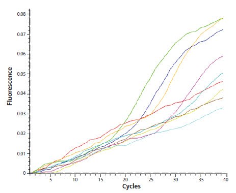 The assay has an unusual amplification plot profile with a pronounced drift of the baseline The assay has an unusual amplification plot profile with a pronounced drift of the baseline