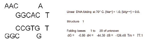 The sequence for the probe that was included in the assay was entered into mfold folding prediction software The sequence for the probe that was included in the assay was entered into mfold folding prediction software