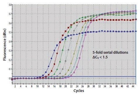 A template nucleic acid was diluted through a 10-fold series A template nucleic acid was diluted through a 10-fold series