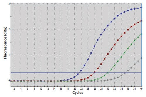 A template nucleic acid was diluted through a 10-fold series A template nucleic acid was diluted through a 10-fold series