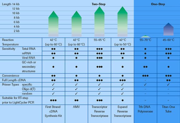 Application profiles of RT-PCR enzymes and kits provided by Roche. Application profiles of RT-PCR enzymes and kits provided by Roche.