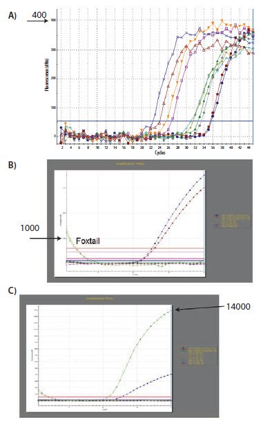 The analysis that was performed and demonstrated The analysis that was performed and demonstrated