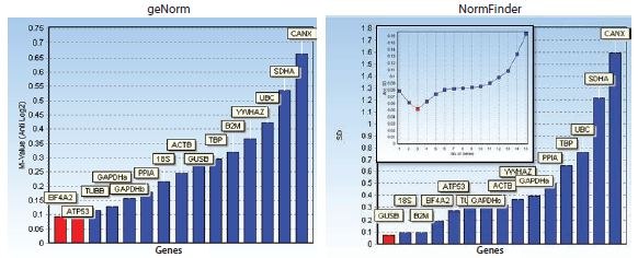 Bar diagrams showing stability measures Bar diagrams showing stability measures
