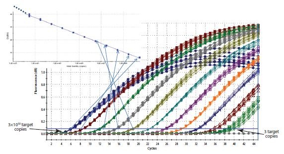 Construction of a Standard Curve. Construction of a Standard Curve.
