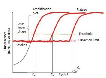 The components of amplification plots The components of amplification plots