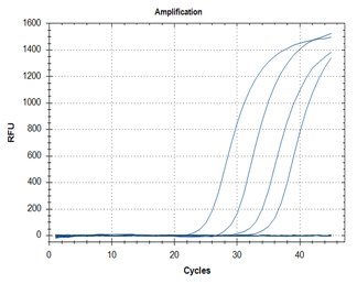 SARS-CoV-2 detection assays utilizing the KAPA PROBE FAST One-Step qRT-PCR Master Mix (2X) Universal Kit (Cat. No. KK4752) for primer targets N1 (graph A) and N2 (graph B). SARS-CoV-2 detection assays utilizing the KAPA PROBE FAST One-Step qRT-PCR Master Mix (2X) Universal Kit (Cat. No. KK4752) for primer targets N1 (graph A) and N2 (graph B).