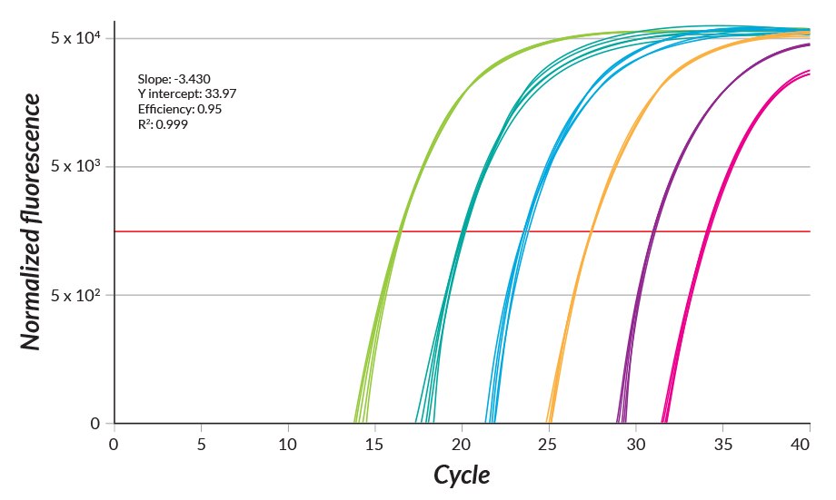 KAPA SYBR® FAST One-Step Normalized Fluorescence 279 bp fragment amplified in replicates of 6 from a 10-fold dilution series of commercial MS2 bacteriophage RNA (80 pg to 0.8 fg per 20 μL reaction). Reaction efficiency of 95% calculated for all 6 replicates per data.