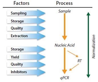 qPCR is a multistep process and each step must be controlled qPCR is a multistep process and each step must be controlled