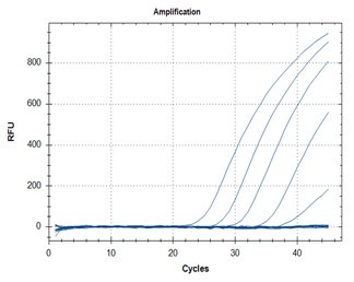 SARS-CoV-2 detection assays utilizing the ABScript II One Step RT-qPCR Probe Kit (Cat. No. RK20407) for primer targets N1 (graph A) and N2 (graph B). SARS-CoV-2 detection assays utilizing the ABScript II One Step RT-qPCR Probe Kit (Cat. No. RK20407) for primer targets N1 (graph A) and N2 (graph B).