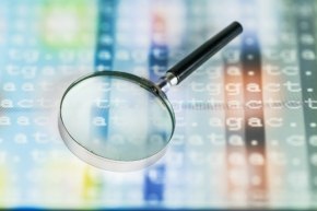 DNA Sequencing A magnifying glass sitting on top of a backlit display of genetic code showing ATCG genetic base code lettering