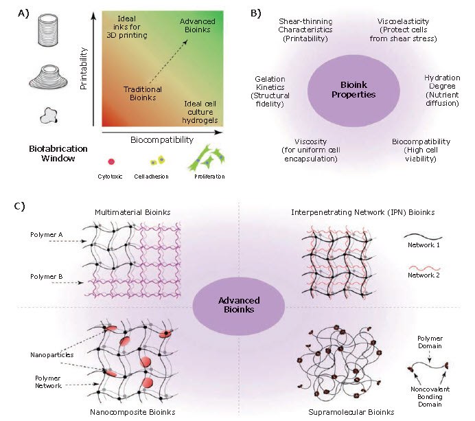 Bioinks for 3D bioprinting  Bioinks for 3D bioprinting