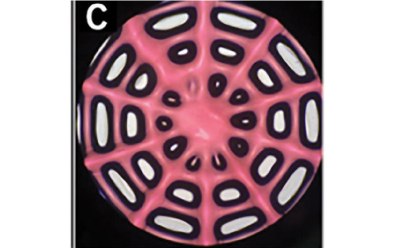 Schematic diagram of 3D printed “Spider web” Schematic diagram of 3D printed pink colored“Spider web” with lacunas marked in black color made for the HCSG breast cancer model.
