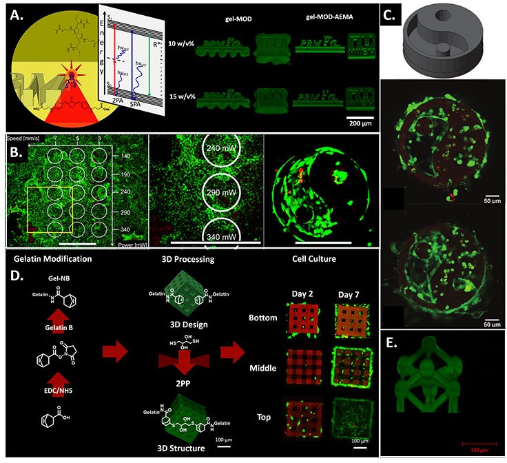 Two-photon and single-photon polymerization principle Two-photon and single-photon polymerization principle